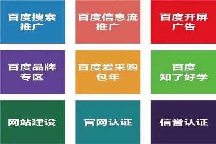 百度竞价SEM：成功案例解析与效果评估